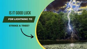 Is it Good Luck for Lightning to Strike a Tree