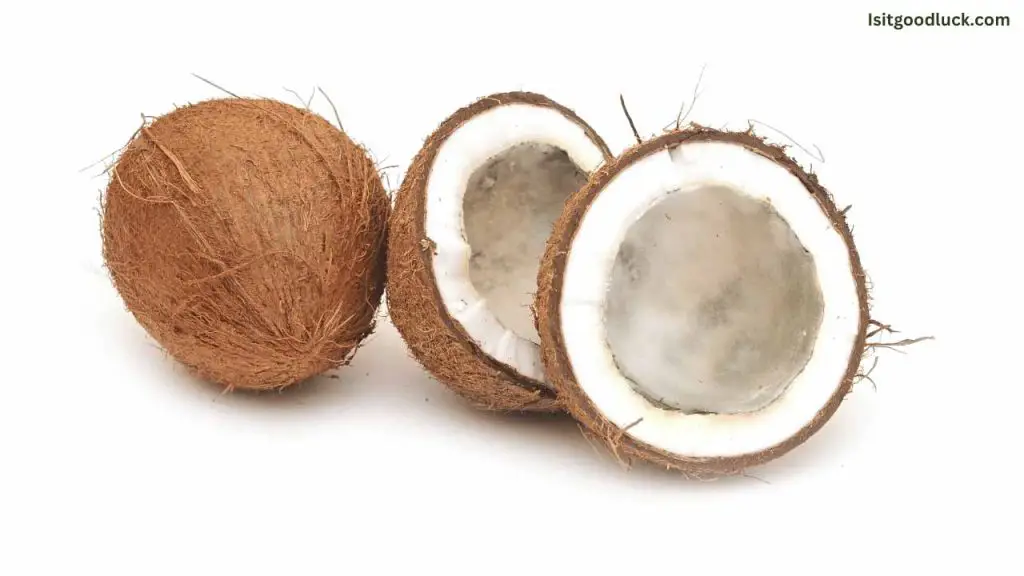 Is it Good Luck if Your Coconut is Bad Inside