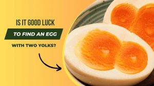 Is it Good Luck to Find an Egg with Two Yolks