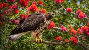 is it good luck to have a hawk in your garden