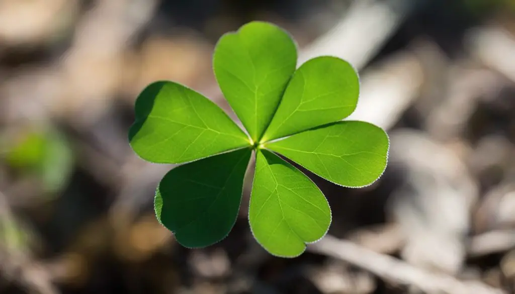 rare lucky clovers