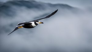 what marine bird is a good luck omen to sailors